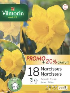 Narcisse Trompette Jaune (x18)